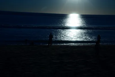 DSC_1204 (Large).JPG